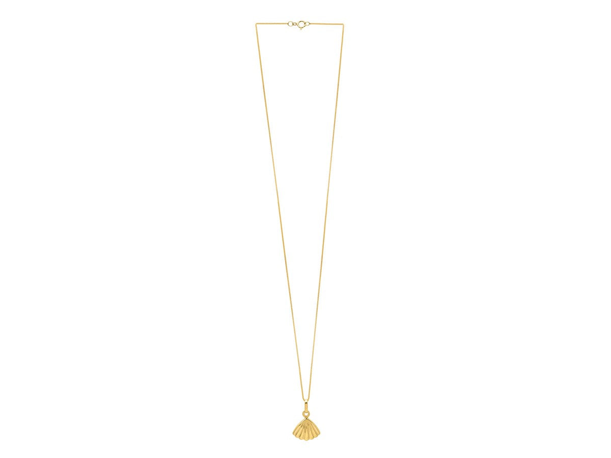 Detailed view of the 10K Gold Sea Shell Necklace, featuring a scallop shell pendant and an 18-inch link chain.