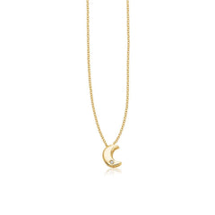 14k Yellow Gold Polished Moon Necklace with Diamond - Sable Gold